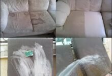 أفضل شركة تنظيف كنب في مكة