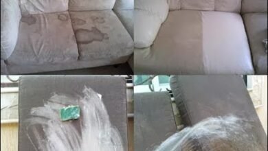 أفضل شركة تنظيف كنب في مكة